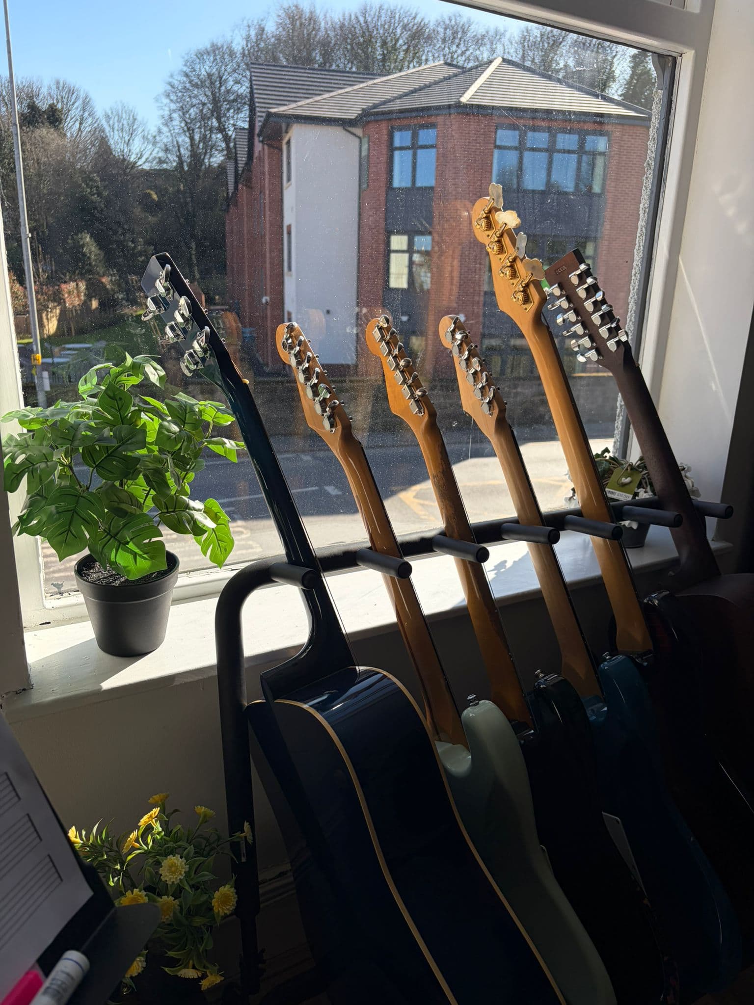 A row of guitars ready for lessons